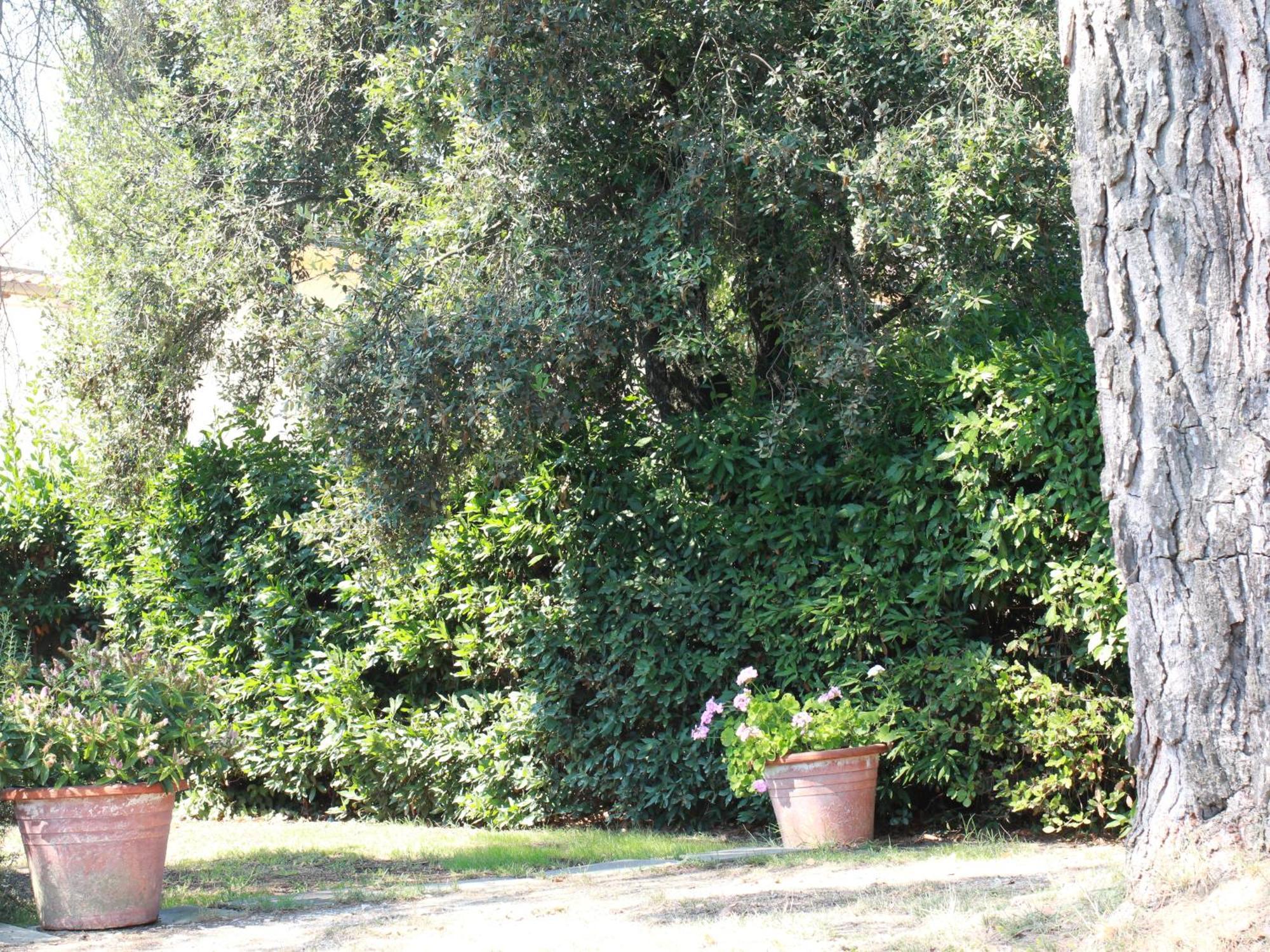 Villetta La Pineta Latignano Exteriör bild