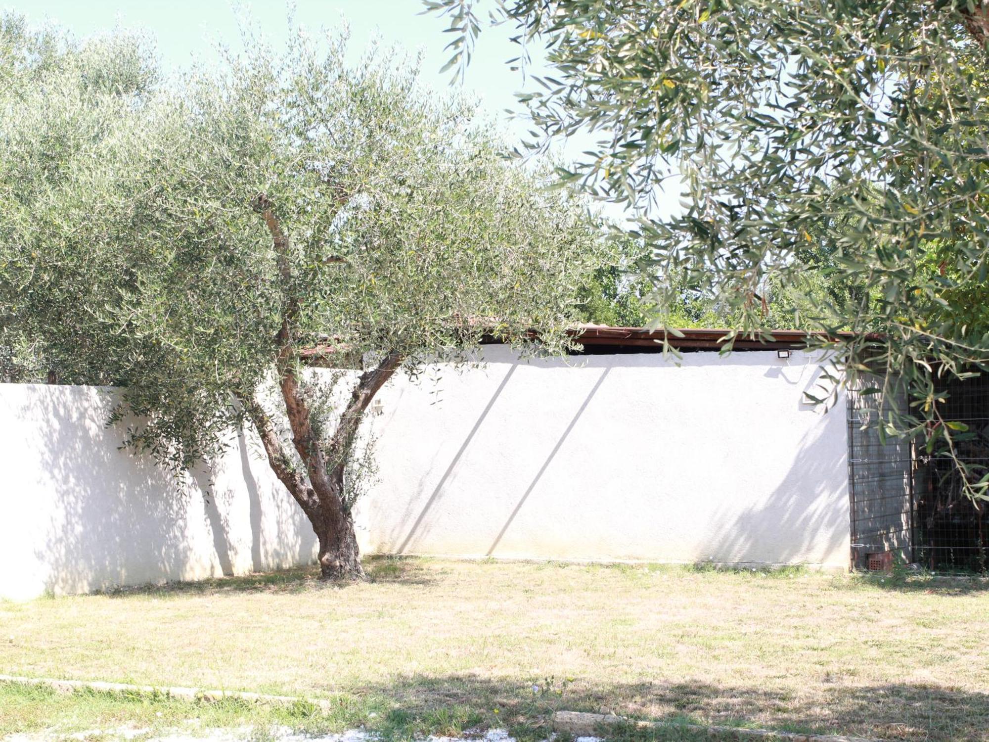 Villetta La Pineta Latignano Exteriör bild